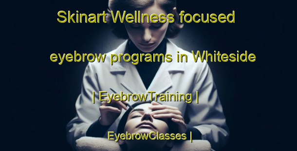 Skinart Wellness-focused eyebrow programs in Whiteside | EyebrowTraining | EyebrowClasses | SkinartTraining-Canada
